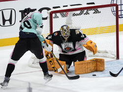 NHL All Star Hockey