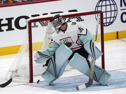 NHL All Star Hockey