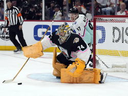 NHL All Star Hockey