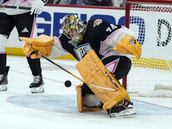 NHL All Star Hockey