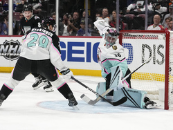 NHL All Star Hockey