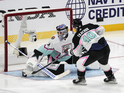 NHL All Star Hockey