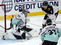 NHL All Star Hockey