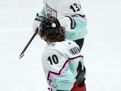 NHL All Star Hockey