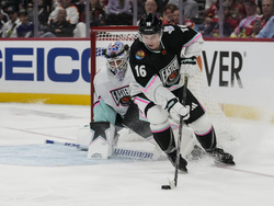 NHL All Star Hockey