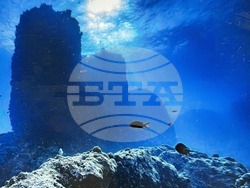 Артефакти в древноегипетския град Тапосирис Магна, Министерство на туризма и на паметниците на културата на Египет