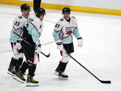 NHL All Star Hockey