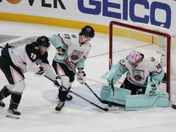 NHL All Star Hockey