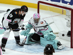 NHL All Star Hockey