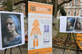 Плевен - домашно насилие - проект - представяне