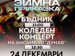 Снимка: Община Видин