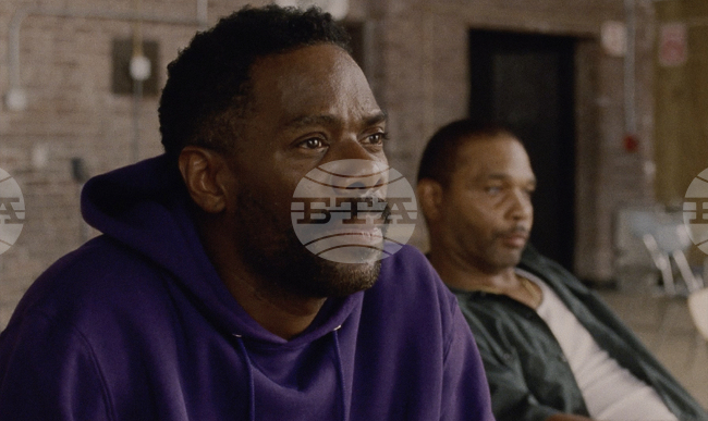 Актьорите Колман Доминго, Тимъти Шаламе и Анджелина Джоли са сред отличените на Международния филмов фестивал в Палм Спрингс 