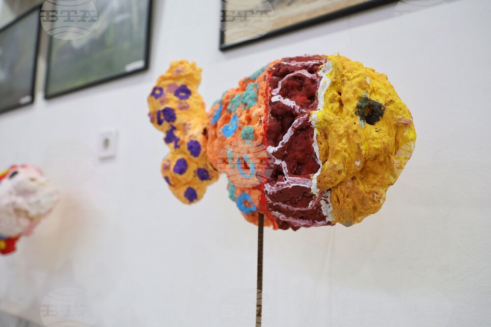 Конкурс по случай Никулден организира Асоциацията на българските училища в Америка 