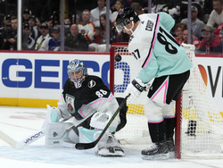 NHL All Star Hockey
