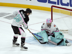 NHL All Star Hockey