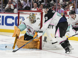 NHL All Star Hockey