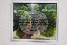 Смолян - Родопа планина - изложба-живопис