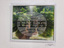 Смолян - Родопа планина - изложба-живопис