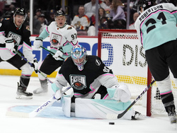 NHL All Star Hockey