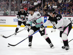 NHL All Star Hockey