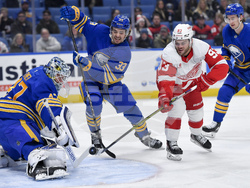 Red Wings Sabres Hockey