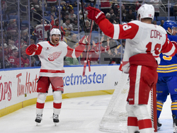 Red Wings Sabres Hockey