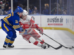 Red Wings Sabres Hockey