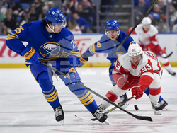 Red Wings Sabres Hockey