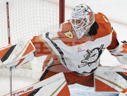 Ducks Canadiens Hockey