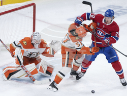 Ducks Canadiens Hockey