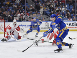 Red Wings Sabres Hockey