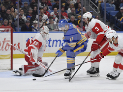 Red Wings Sabres Hockey