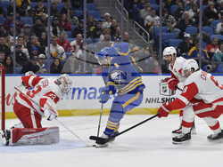 Red Wings Sabres Hockey
