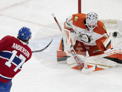 Ducks Canadiens Hockey