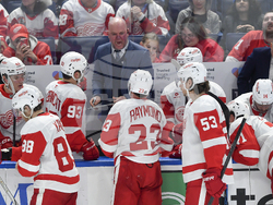 Red Wings Sabres Hockey