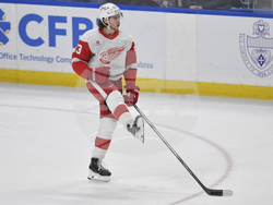 Red Wings Sabres Hockey