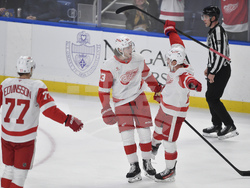 Red Wings Sabres Hockey