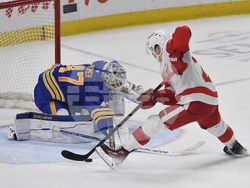Red Wings Sabres Hockey