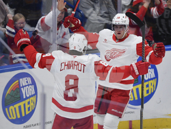 Red Wings Sabres Hockey