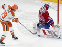 Ducks Canadiens Hockey