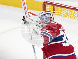 Ducks Canadiens Hockey