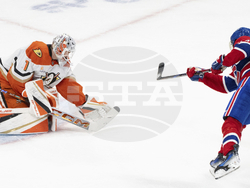 Ducks Canadiens Hockey