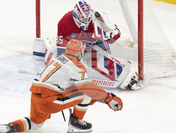 Ducks Canadiens Hockey