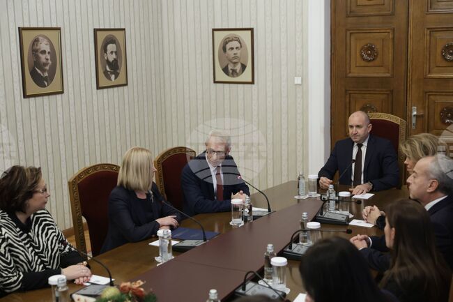 Да сте втора политическа сила е сериозна отговорност за ефективното функциониране на парламента и за процедура за съставяне на правителство, каза Румен Радев на ПП-ДБ