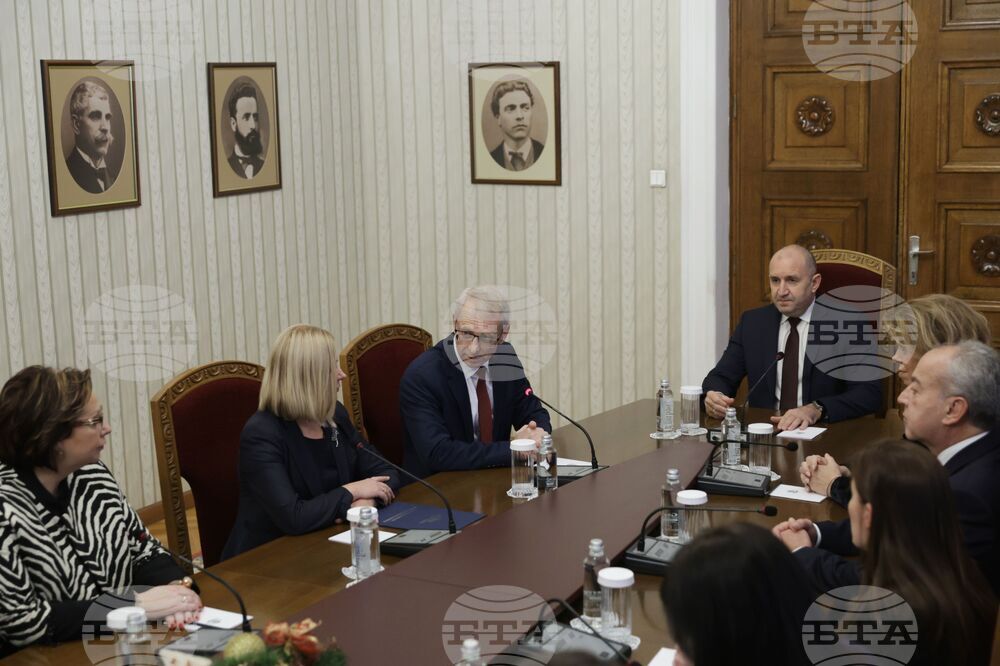 Президент - ПП-ДБ - консултации