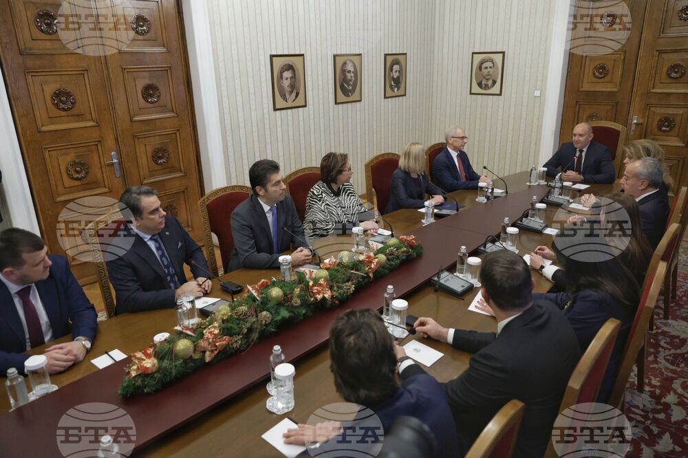 Президент - ПП-ДБ - консултации