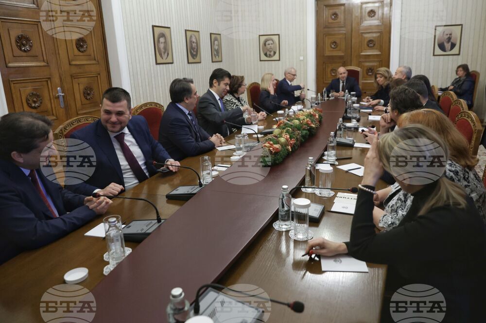 Президент - ПП-ДБ - консултации