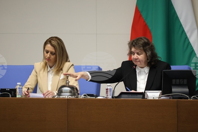 Parliament Chair to Initiate Process of Electing Members of Bodies with Expired Mandates