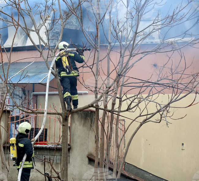 Пожарникарите са реагирали на 135 сигнала в страната през последното денонощие 