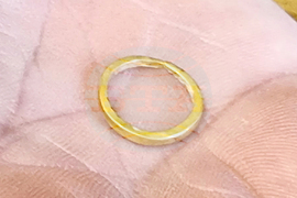 Варна - Варненски халколитен некропол - находки